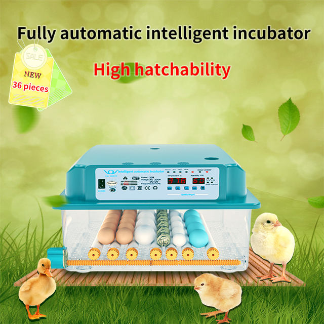Fully Automatic Farm Chicken 36 Egg Incubator