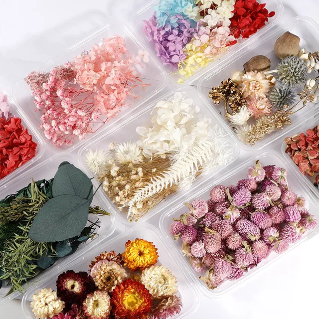 1 Box Real Dried Flower Dry Plants For Aromatherapy Candle Epoxy Resin Pendant Necklace Jewelry Making Craft DIY Accessories