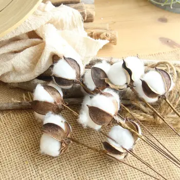 

10Pcs DIY Naturally Dried Cotton Stems Farm house decorative dried Artificial White Cotton Branch Artificial Flower Head
