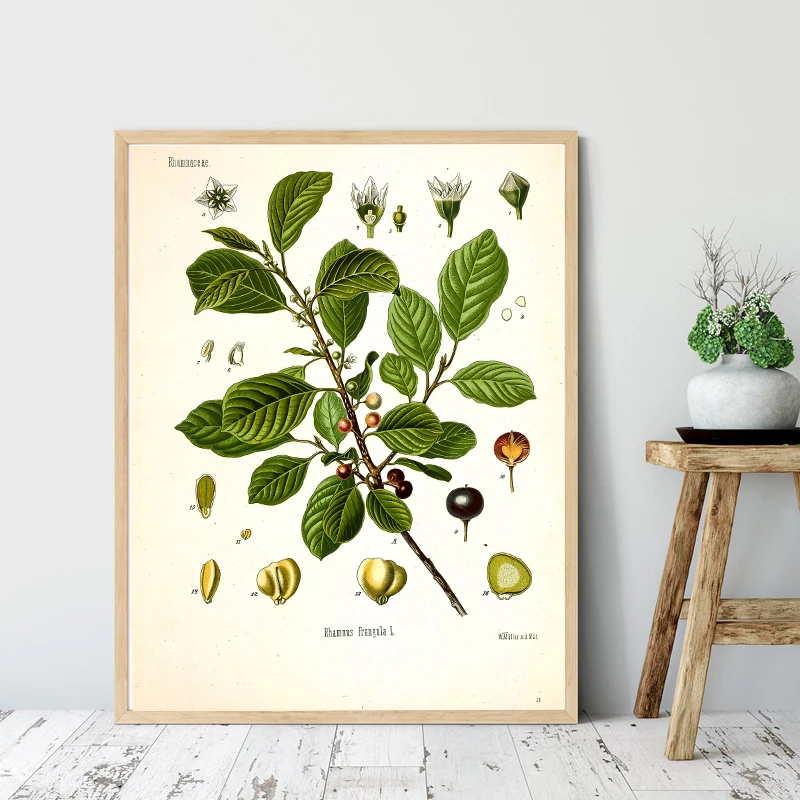 He6e62126ff5e4d72a567c42a3e4144a1c