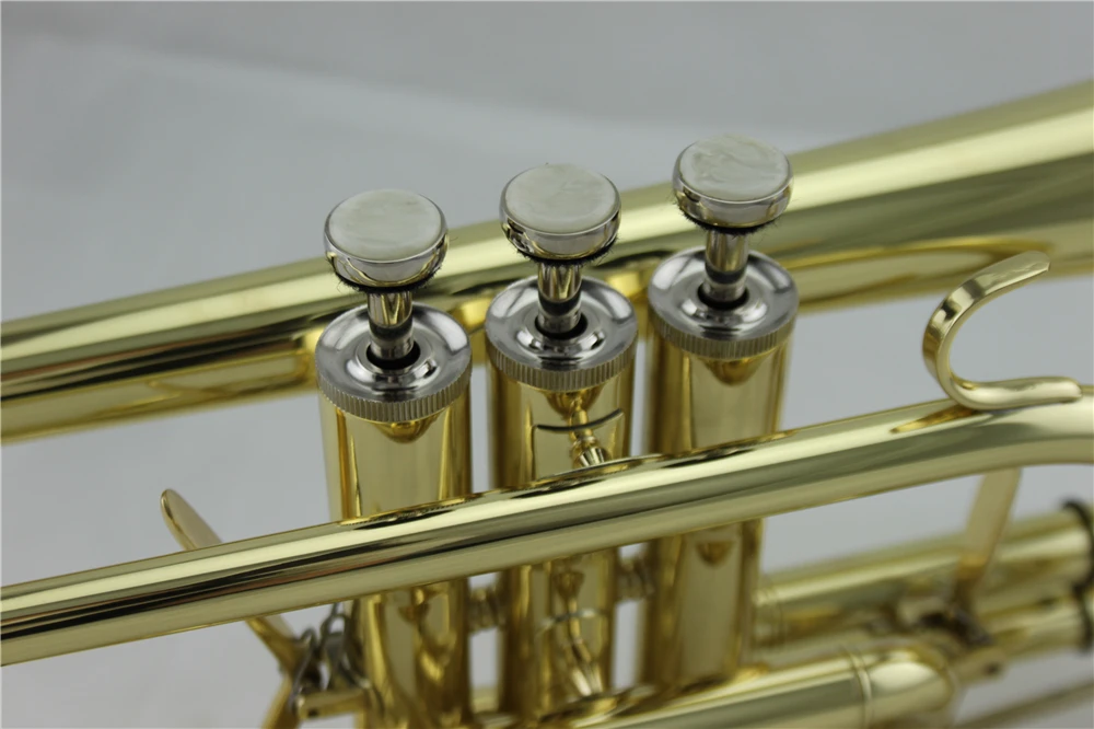 CT8562 (10)