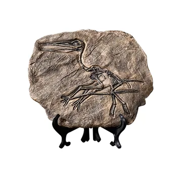

Scientific Gift Home Decor Simulated Skeleton Resin Model Educational Toy Paleontology Office Dinosaur Statue Craft Ornament