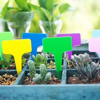 

50pcs/lot Plastic Plant Labels Garden Markers T-Type Plant Tags For Gardening