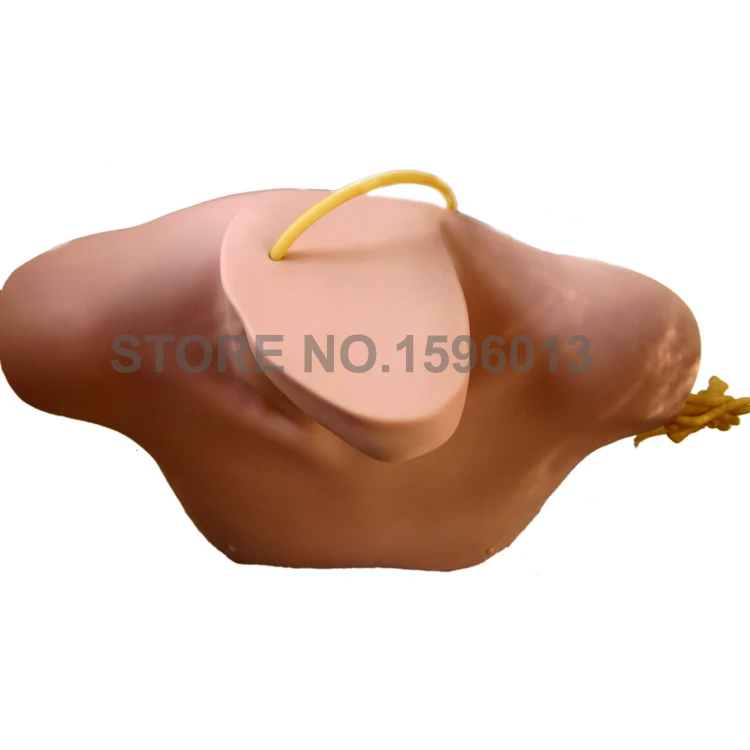 L68B CVC (5)