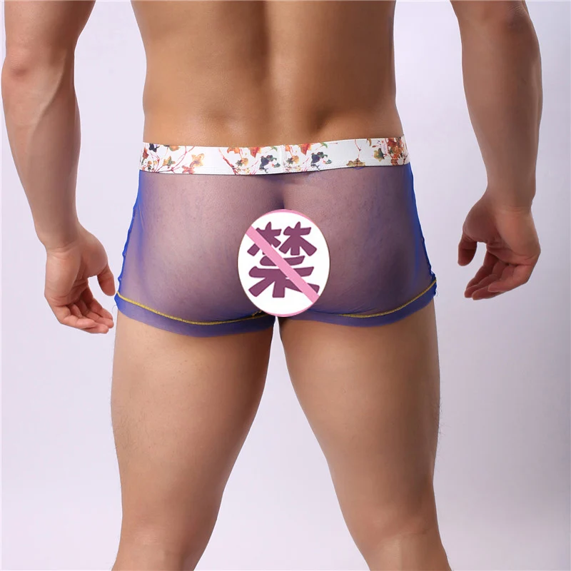 Синий Пестрые трусы шорты с сетчатой подкладкой Ethika Calecon боксеры Homme сексуальный для Гея шорты-боксеры Ethika Для мужчин нижнее белье; трусы-Для мужчин боксер прозрачный - Цвет: Синий