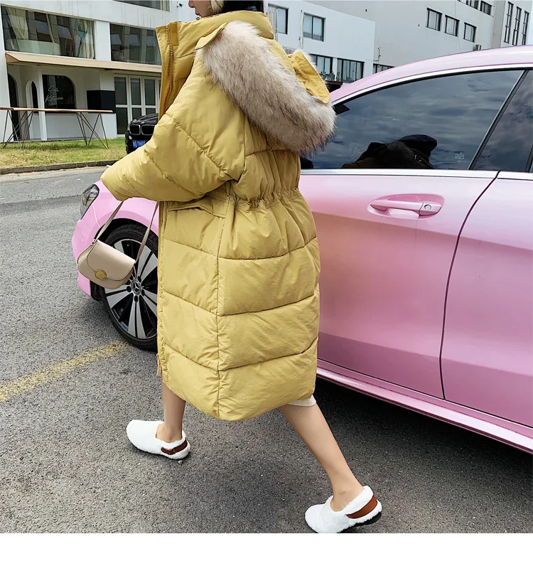 Photo Shoot New Style Best Friend Korean-style Hooded Large Fur Collar INS down Jacket Medium-length Cotton Coat WOMEN'S Co