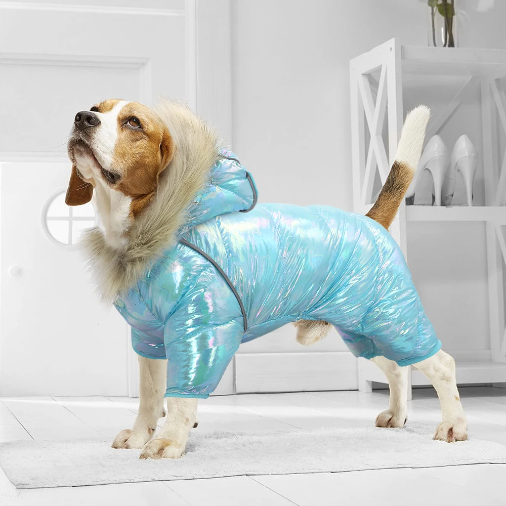Köpek yağmurluk