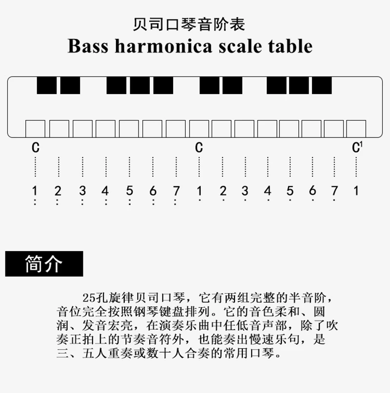25 отверстий Мелодия басовая Губная гармошка деревянная расческа Armonica a Bocca музыкальный инструмент рот Ogan арфа группа аккомпанемент Губная гармошка