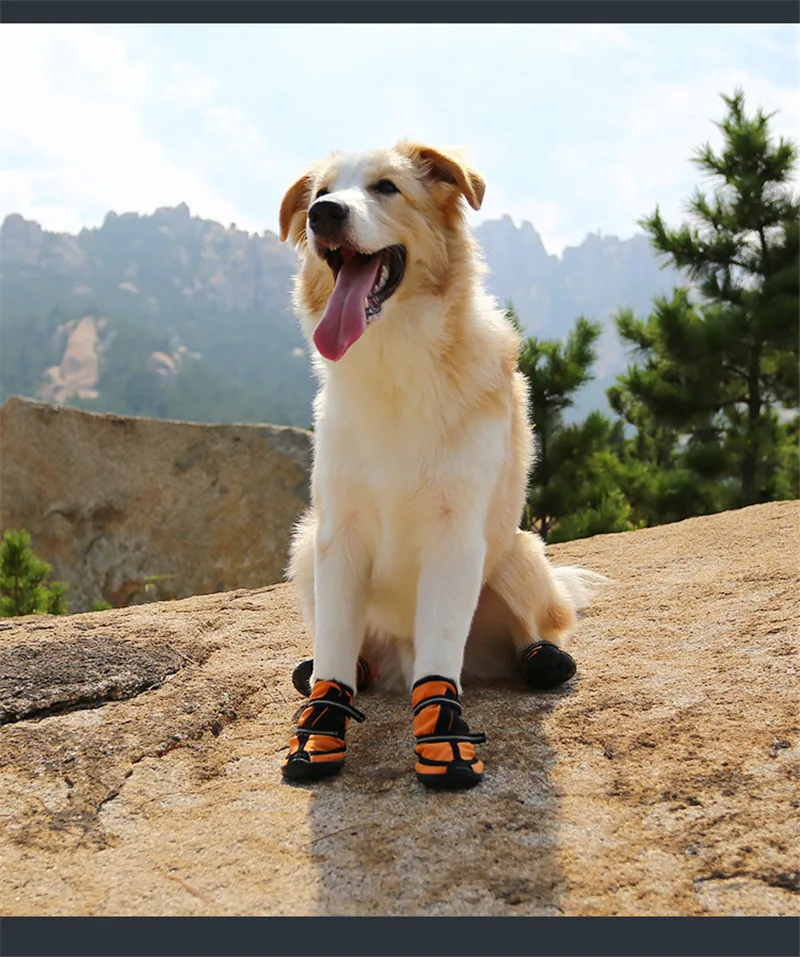 dog shoes for winter