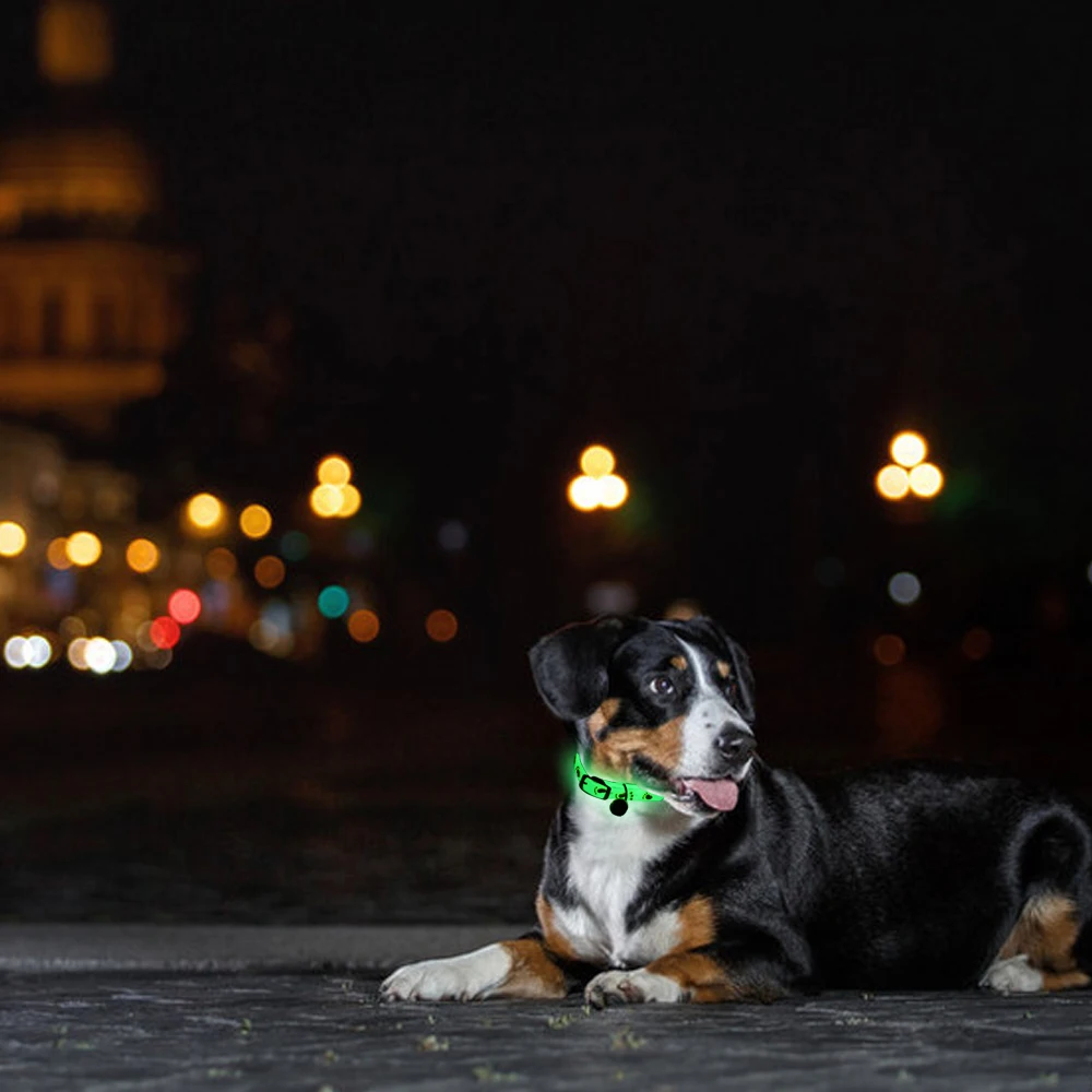 New Adjustable Rubber Luminous Pet Puppy Dog Cat Collars With Bells Ball Random Color Outdoor Pet Collar For Pet Supplies New Adjustable Rubber Luminous Pet Puppy Dog Cat Collars With Bells Ball Random Color Outdoor Pet Collar For Pet Supplies