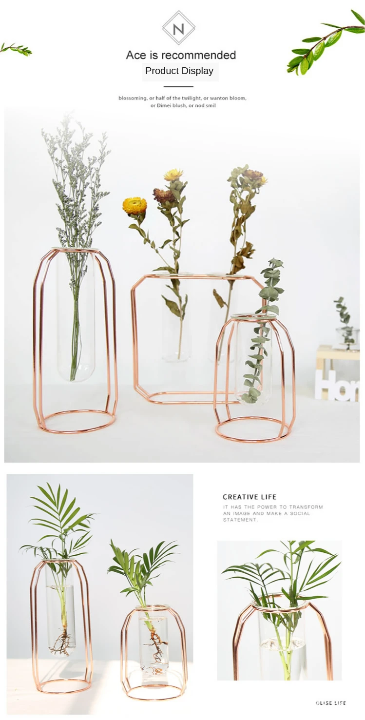 9译图He22987ed582344fbac8d18ea3e72ab33U