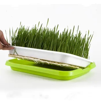 

Bean Sprouts Double-layer Dishes Plate Seedling Tray Plastic Flower Basket Flower Plant Home Garden Nursery Pots