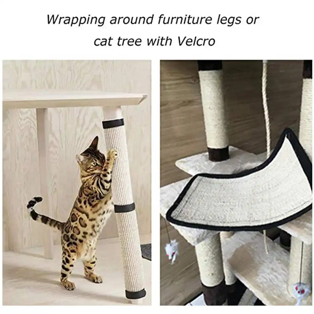 cat armchair