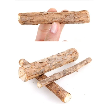 

New S/M/L 20PCS Cat Cleaning Teeth Natural Catnip Pet Molar Toothpaste Matatabi Actinidia Fruit Silvervine Cat Snacks Sticks