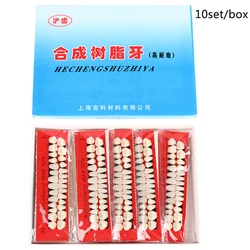 10Sets Pro Dental Material Plastic Teeth Teaching Model Dedicated Teeth Dental Material Useful Teeth Care Tool A2 Type