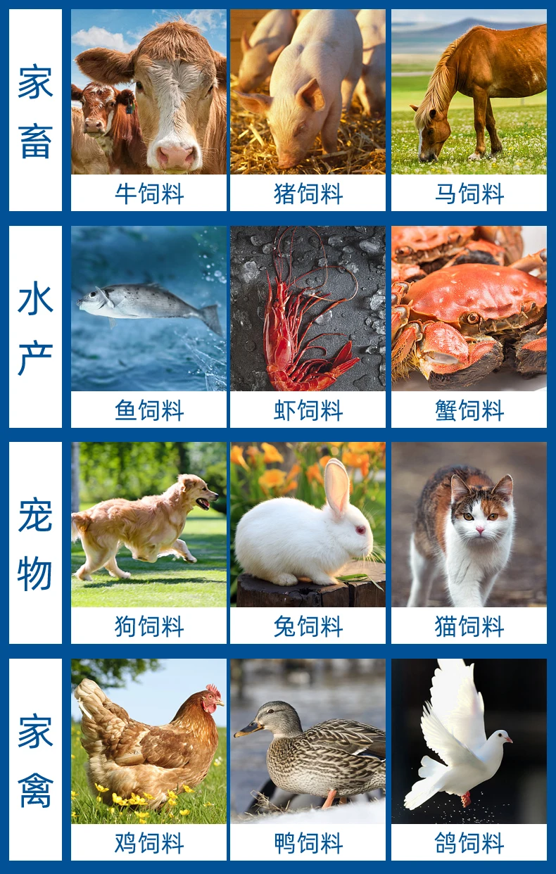 O1CN01MQr96Z2J0vkHtIHU3_!!3031249360