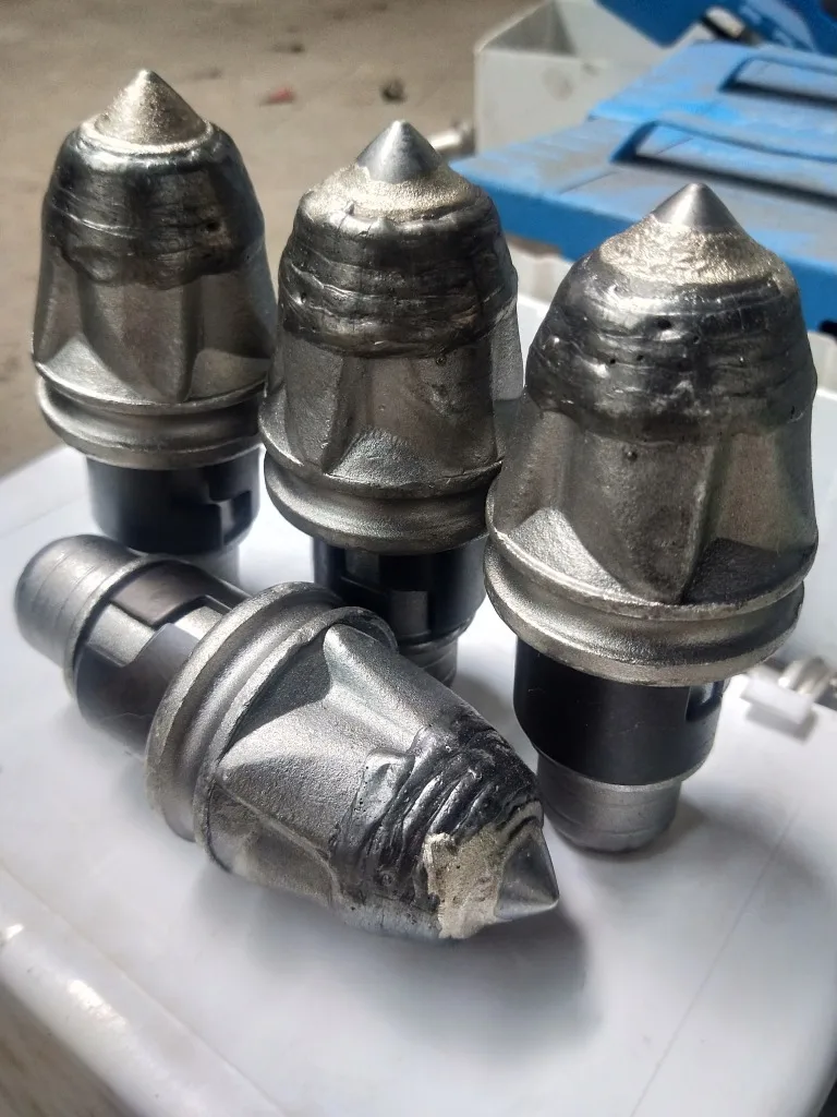 11543294076_177030448