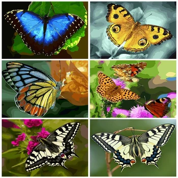 

AZQSD Adult Oil Painting By Numbers Animal Acrylic Paint DIY Handmade Gift Unframe Coloring By Numbers Butterfly Home Deocr