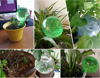 

Hot sale House/Garden Water Houseplant Plant Pot Bulb Automatic Self Watering Device