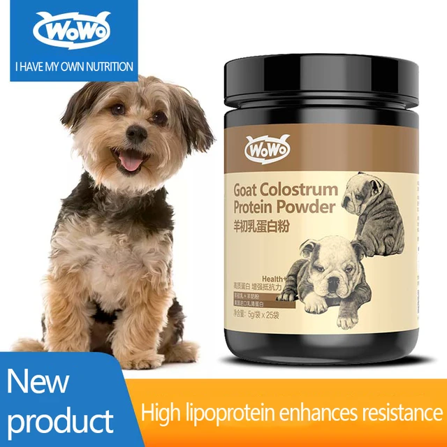 Can You Give A Dog Protein Powder