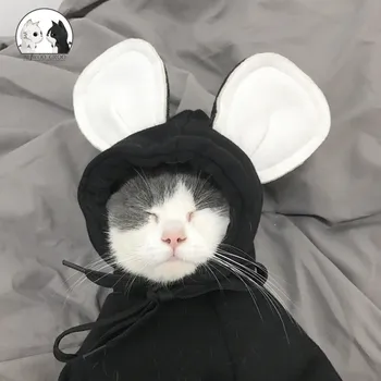 

Mickey Hoodies Cat Clothes Security Pet Coats Jacket Cute Puppy Kitten Minnie Little Cat Outfit Chihuahua Yorkshire Clothing 2XL