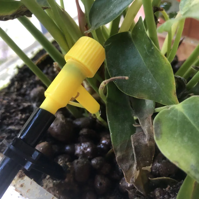 QQ图片20191122125329