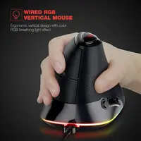 Computer Peripherals