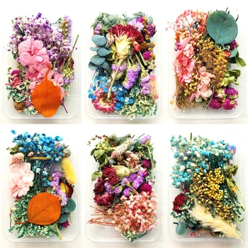 

1 Box Real Mix Dried Flowers Plant for Resin Jewellery Dry Plants Pressed Flowers Making Craft DIY Photo Frame Accessories