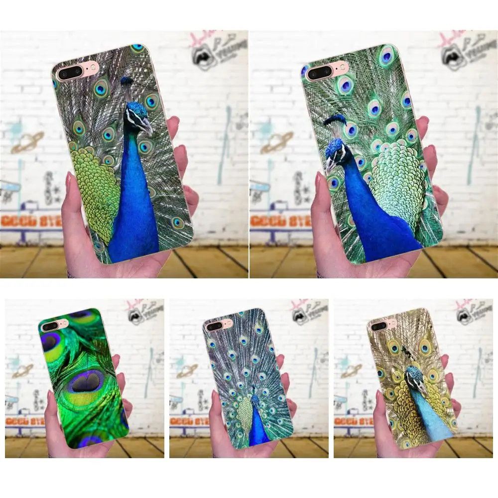 Красивое перо павлина Мягкий Силиконовый ТПУ прозрачный сотовый телефон для Xiaomi