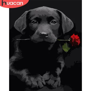 

HUACAN Pictures By Numbers On Canvas Dog Animal Hand Painted Acrylic Gift DIY Oil Painting By Number Rose Kits Home Decoration
