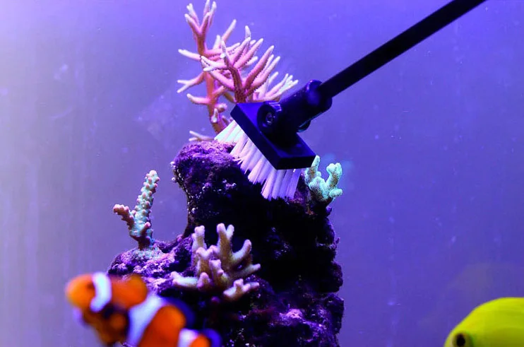 HTB1QnKwSXXXXXcLaXXXq6xXFXXXR