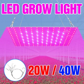 

Greenhouse Plant Light 20W 40W Grow Lamp LED Full Spectrum Hydroponics Lights LED Phyto Lampada 220V Fitolampy EU US UK Plug
