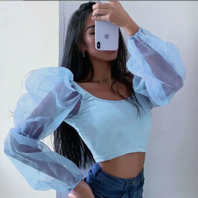 sheer cropped blouse