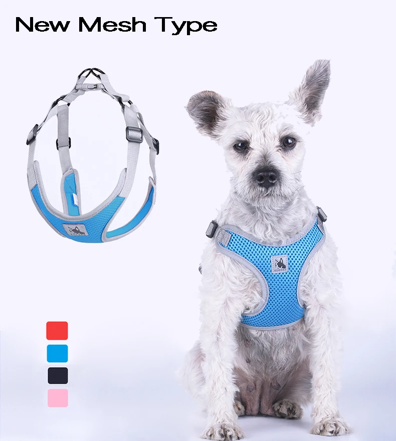best harness for boston terrier