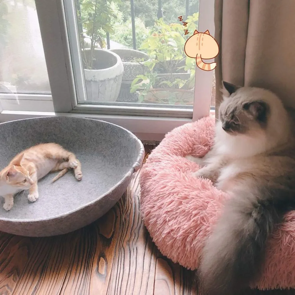 CP234013-C-2020100605-1