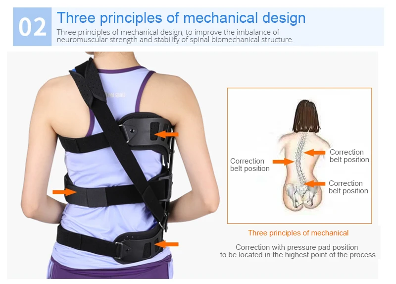 Корректор Осанки Спины Suppor Scoliosis Регулируемый вспомогательный корректор позвоночника для послеоперационного восстановления спины для мужчин и женщин взрослых