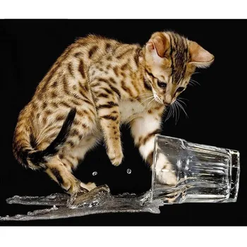 

Cross Stitch DIY Painting 5D Glass Brown Cat Diamond Home Decor Picture Embroidery Pattern Wall Sticker Mosaic Full Round Drill