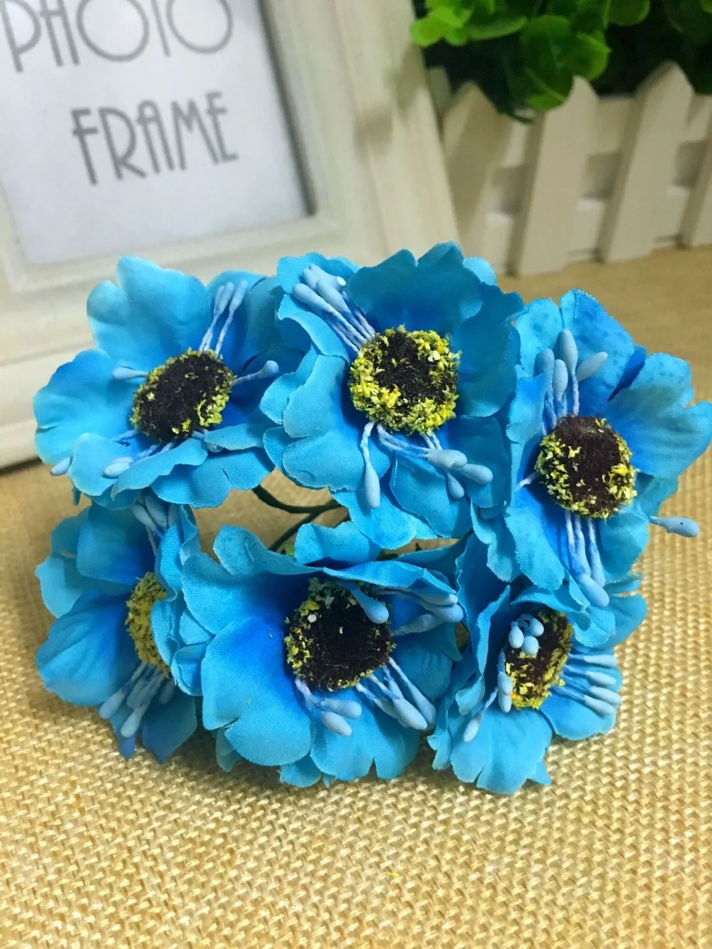 3008783981_349828854