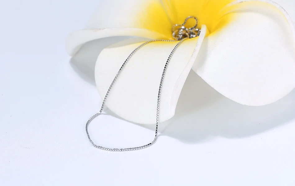 SC07-P-SCENE-IMG_9173-R