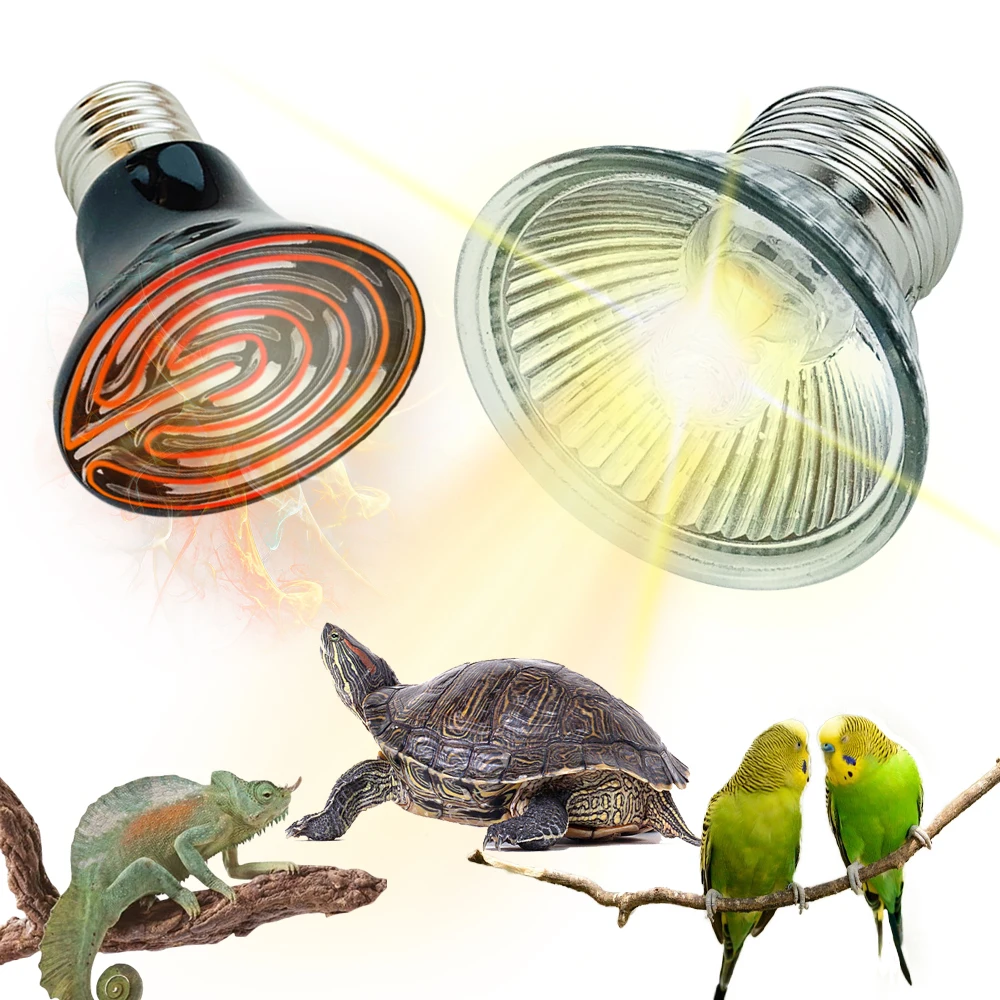 Lámpara para reptiles y tortugas, calentador de cerámica infrarrojo, Mini bombilla calefactora para mascotas, termostato ultravioleta de anfibios y lagarto, E27