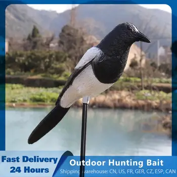 

Magpie Decoy Durable Realistic Hunting Bait Tool Decoration
