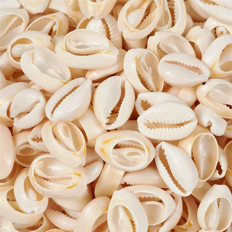 

about 340pcs/555g Mixed Spiral Shell Beads for Jewelry Making DIY Findings, Cowrie Shells, PapayaWhip, 18~20x13~14x6~8mm F80
