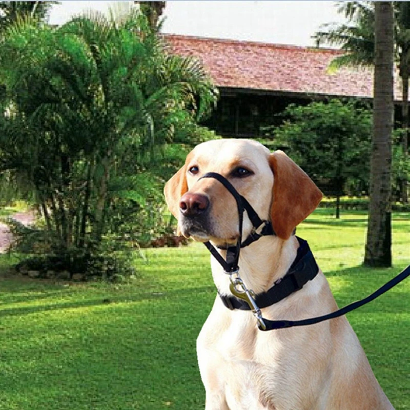 

Pet Dog Padded Head Collar Gentle Halter Leash Leader Stop Pulling Training Muzzles Tools