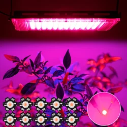 10/20/30 Pcs 1W 3W High Power Full Spectrum LED Chip Lamp Bulbs  380-840nm COB Grow Light Beas Indoor Plant Greenhouse Grow Tent