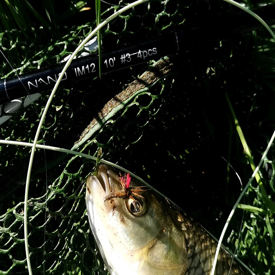 Outbound 6/7/8/9/10wt 100FT Weight Forward Saltwater Floating Fly Fishing Line Outbound 6/7/8/9/10wt 100FT Weight Forward Saltwater Floating Fly Fishing Line