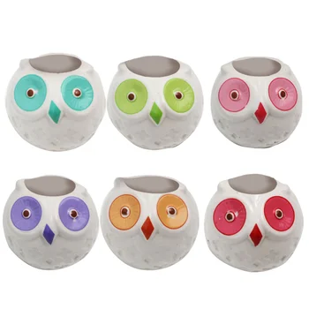 

6PCS Colorful Eyes Owl Design Succulent Pots Creative Planters Ceramic Pots Containers for Home Garden Balcony (Mixed Style)