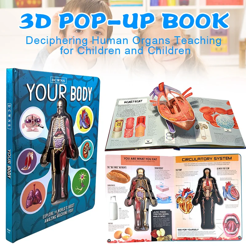 

3D Picture Human Body Structure Book Anatomy Science Cognitive Reading Children Early Education Books Kids Toys Random cover bth