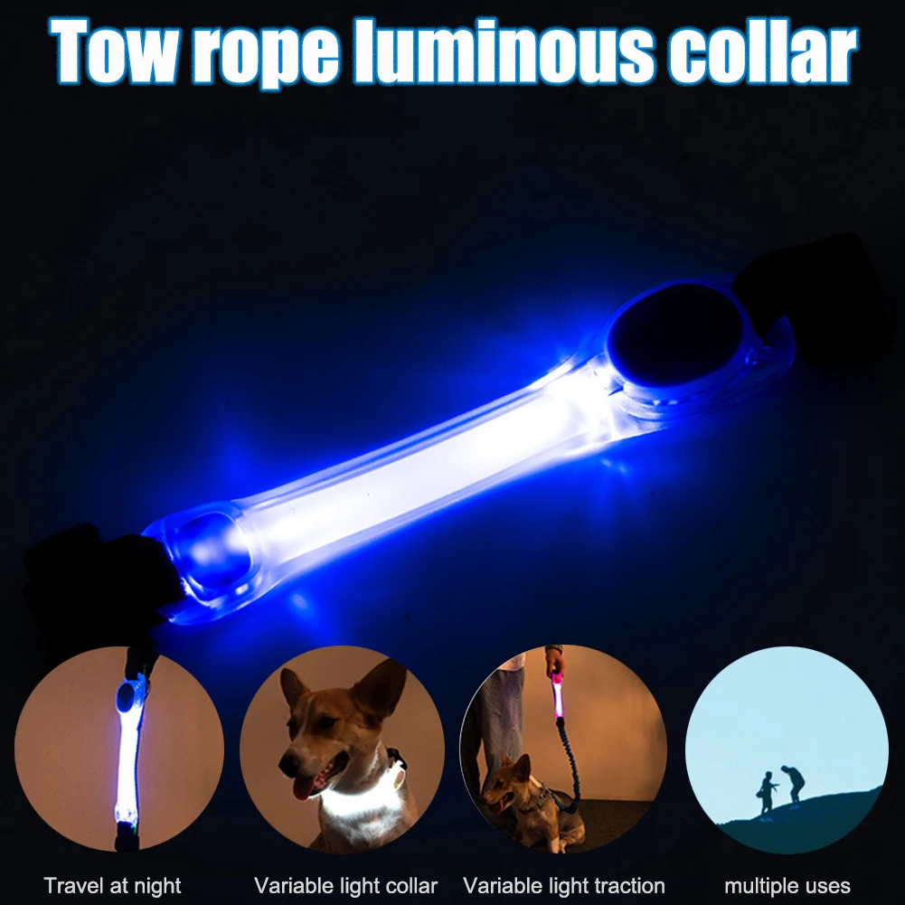 LED Flashing Sports Night Safety Waterproof Dog Collar Light Pet