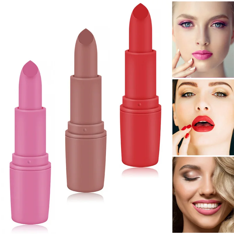 

18 Colors Lipstick Matte Sexy Red Brown Pigments Lips Beauty Waterproof Velvet Lip Stick Long Lasting Makeup Matte Lipsticks