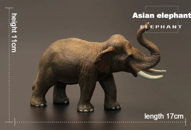 Asian elephant Оригинальные джунгли дикая ферма зоопарк животных наборы лев тигр Бегемот носорог слон warthog фигурки детей обучающая игрушка детский подарок - Цвет: Asian elephant